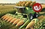 ببینید| چگونه آمریکایی صدها تن ذرت را برداشت و فرآوری می کنند؟