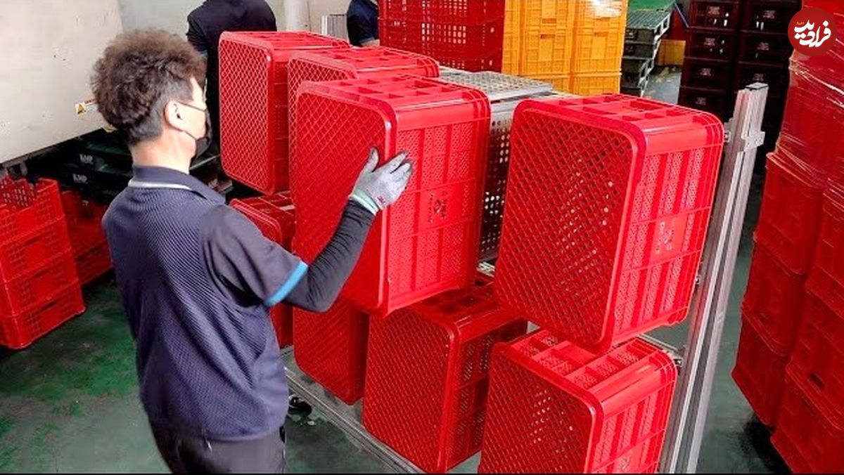 ببینید| فرآیند تولید جعبه های پلاستیکی میوه در کارخانه ای در کره جنوبی