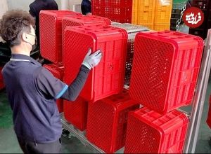 ببینید| فرآیند تولید جعبه های پلاستیکی میوه در کارخانه ای در کره جنوبی