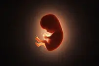 (عکس) واکنش جالب یک جنین به طعم غذاهایی که مادر می‌خورد