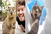 تصاویر؛ بامزه‌ترین عکس‌های «سلفی حیوانات»