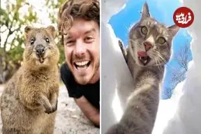 تصاویر؛ بامزه‌ترین عکس‌های «سلفی حیوانات»