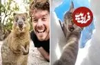 تصاویر؛ بامزه‌ترین عکس‌های «سلفی حیوانات»