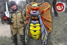 ببینید| ساخت مجسمه غول پیکر چوبی زنبور با اره برقی به روش نجار اوکراینی