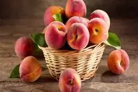 قیمت میوه‌های تابستانی؛ شلیل و هلو چند؟