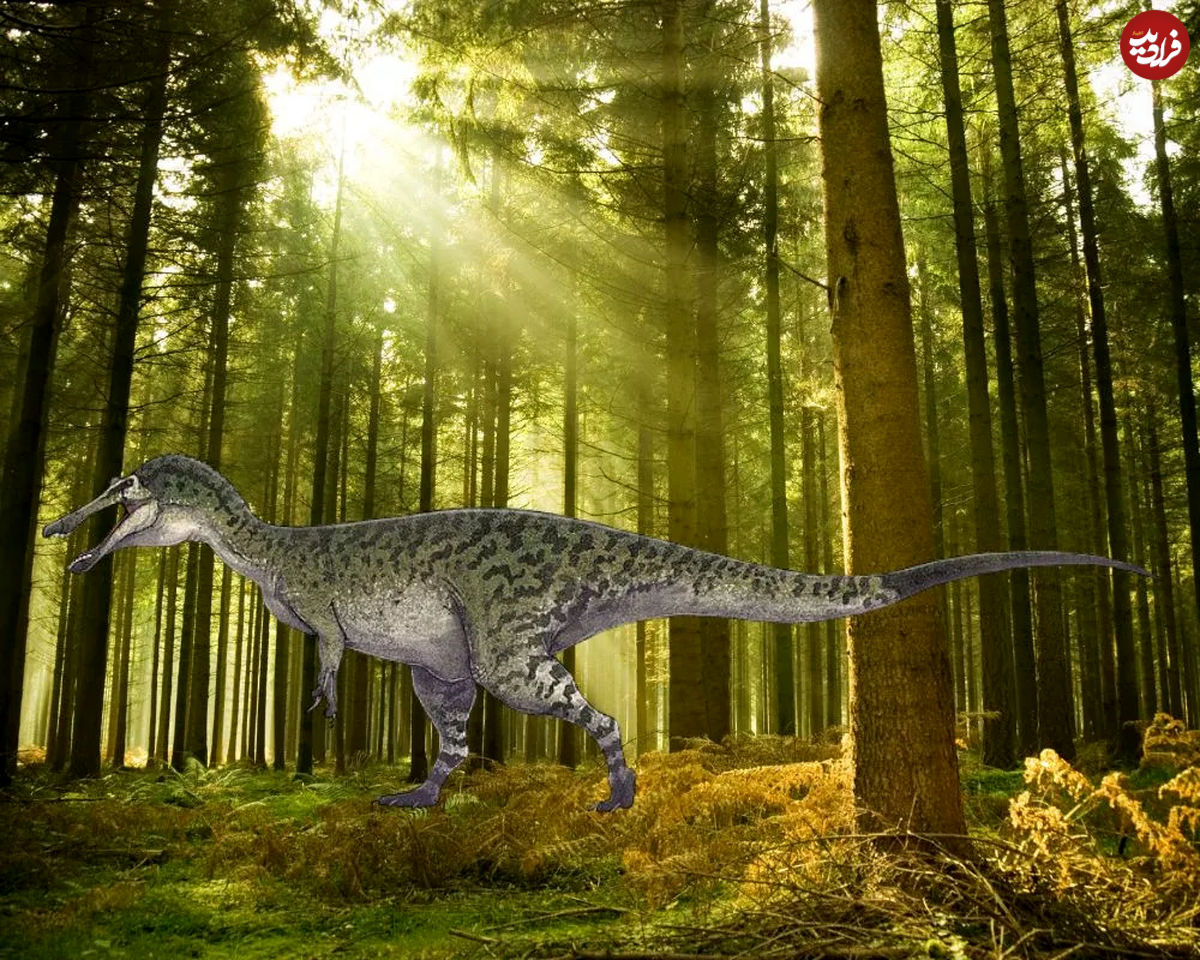 (عکس) جزئیات کشف گونه جدیدی از این دایناسور