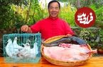 ببییند؛ غذای روستایی در چین؛ پخت غذا با گوشت بره، 5 عدد کبوتر و ماهی