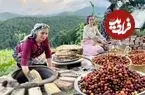 ببینید| غذای روستایی در ایران؛ چیدن آلوچه وحشی از جنگل و تهیه رب با آن