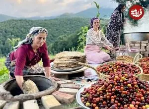 ببینید| غذای روستایی در ایران؛ چیدن آلوچه وحشی از جنگل و تهیه رب با آن