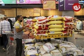 قیمت جدید برنج هندی و پاکستانی اعلام شد