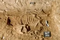 «الاغ قربانی شدۀ مصری» بعد از ۵ هزار سال در فلسطین کشف شد