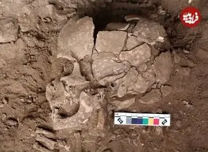 کشف یک مصرف‌کننده ۲۵ هزار ساله مواد روان‌گردان!