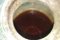 کشف کهن‌ترین شراب جهان که حاوی استخوان مرده است