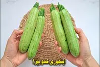 ببینید| طرز تهیه یک غذای ساده و جدید با کدو سبز و تخم مرغ