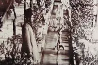 عکس| سفر زمان؛ تصویری از نارنجستان ناصرالدین شاه در حیاط کاخ گلستان