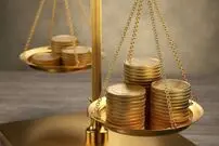 سکه‌ بهار آزادی چند گرم است؟