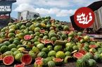 ببینید؛ مراحل کاشت، برداشت و فرآوری هزاران تن هندوانه در آمریکای جنوبی