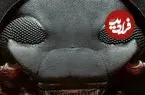 تصاویر| سوسک دارث ویدر؛ حشره ای شبیه به شخصیت معروف جنگ ستارگان