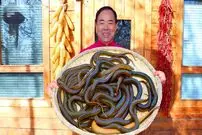 ببینید| غذای روستایی در چین؛ پخت یک غذای تند با 20 مارماهی و فلفل در تابه