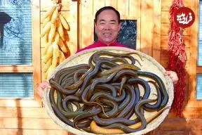 ببینید| غذای روستایی در چین؛ پخت یک غذای تند با 20 مارماهی و فلفل در تابه