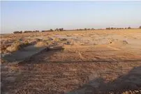 یک کشف تاریخی و مهم در سیستان و بلوچستان 