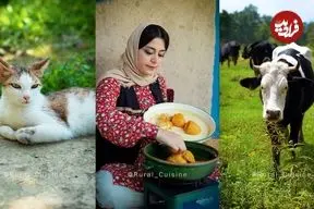 ببینید| غذای روستایی در ایران؛ پخت شیرین قاتوق، خورشت سنتی گیلانی در طبیعت