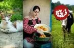 ببینید| غذای روستایی در ایران؛ پخت شیرین قاتوق، خورشت سنتی گیلانی در طبیعت