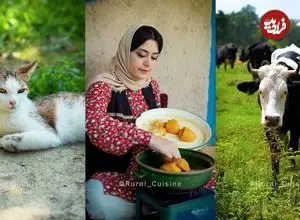 ببینید| غذای روستایی در ایران؛ پخت شیرین قاتوق، خورشت سنتی گیلانی در طبیعت
