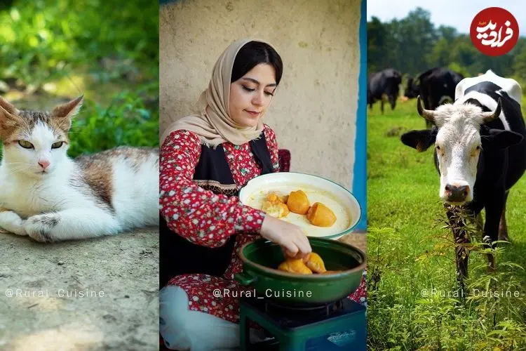 ببینید| غذای روستایی در ایران؛ پخت شیرین قاتوق، خورشت سنتی گیلانی در طبیعت
