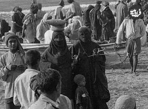 عکس| سفر زمان؛ ساحل شلوغ «بندرعباس» در حدود 75 سال قبل
