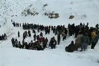 (ویدئو) چرای دام زیر بارش شدید برف، کردستان عراق