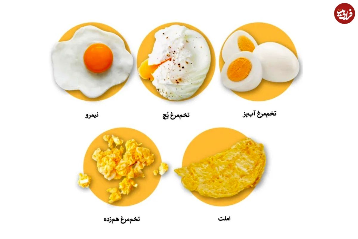 روش دلخواه شما در خوردن تخم مرغ چه رازهایی را درباره شخصیت شما فاش میکند؟