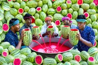 (ویدئو) فرآیند دیدنی آب گرفتن صدها هندوانه توسط 5 مرد روستایی مشهور هندی