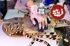 ببینید؛ غذای خیابانی در ژاپن؛ پخت غذا با لابسترهای غول پیکر در اوکیناوا