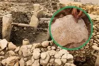 کشف تصویر یک «الاغ» در سکونتگاه 11 هزارساله