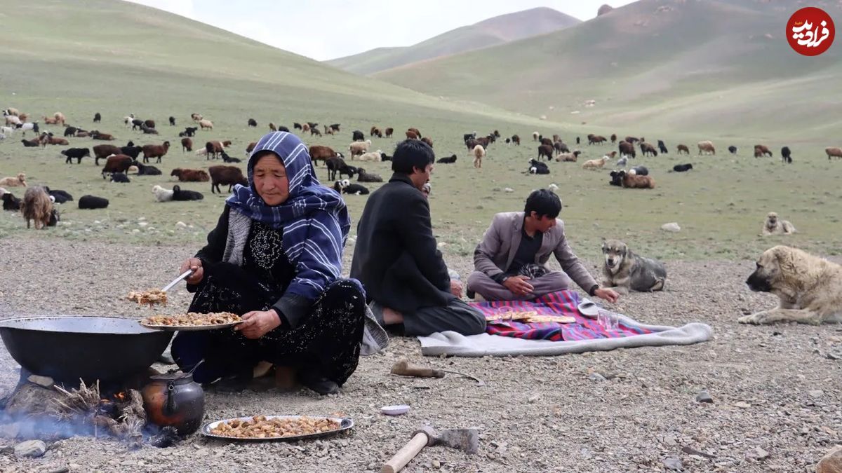 (ویدئو) فرآیند پخت یک غذای محلی با قارچ کوهی و گوجه توسط یک بانوی عشایر افغان