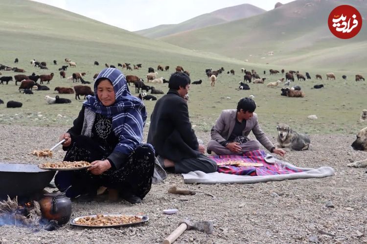 (ویدئو) فرآیند پخت یک غذای محلی با قارچ کوهی و گوجه توسط یک بانوی عشایر افغان
