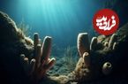 نخستین جانوران زمین چه شکلی بودند؟ پژوهشی تازه بالاخره پاسخ می‌دهد