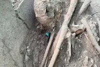 کشف اسکلت یک انسان با انگشتری از یشم
