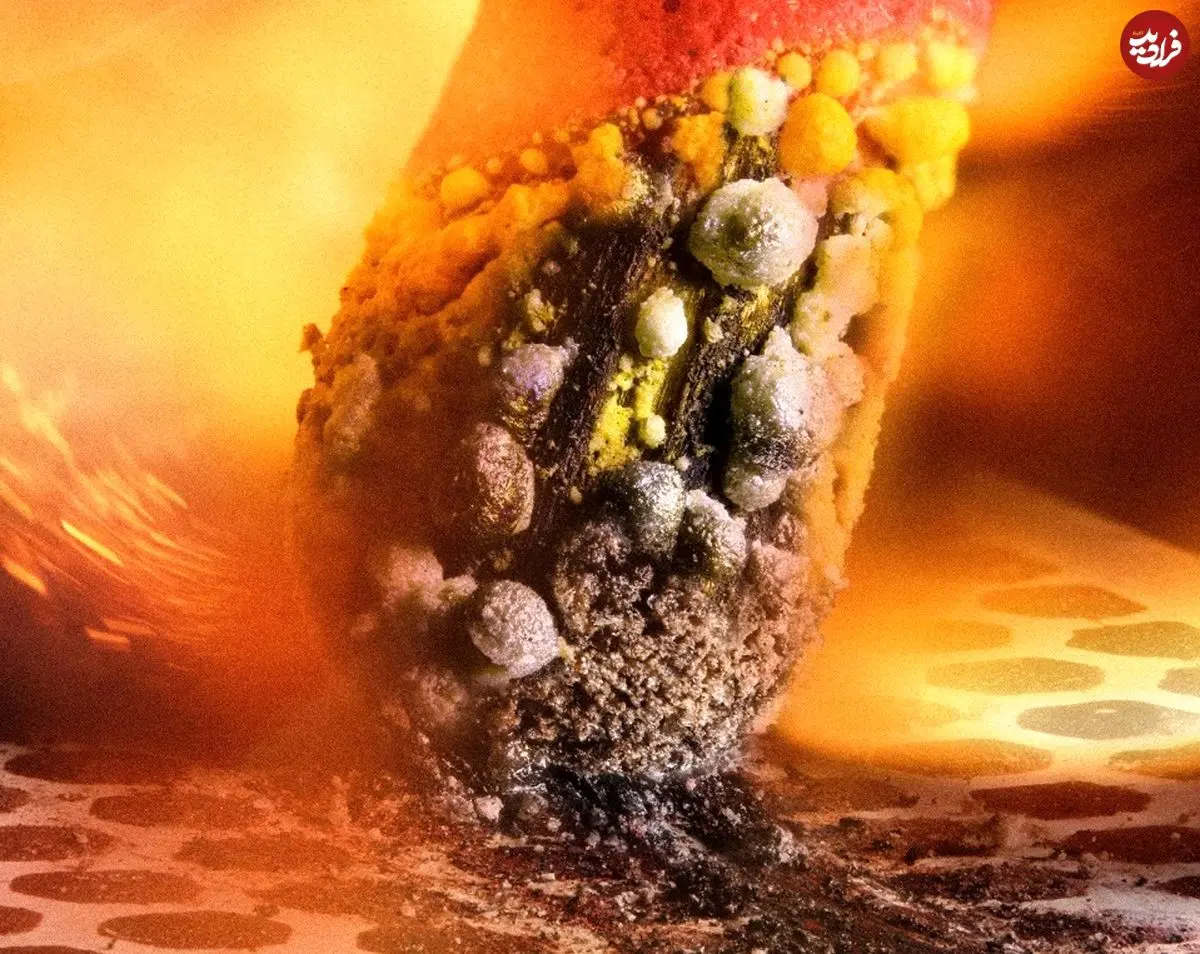 (تصاویر) شگفت‌انگیزترین عکس‌های میکروسکوپی سال ۲۰۲۳