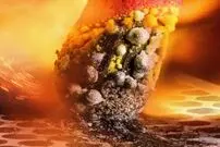 (تصاویر) شگفت‌انگیزترین عکس‌های میکروسکوپی سال ۲۰۲۳