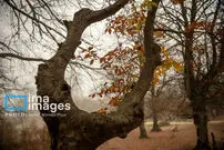 تصاویر| طرنگ، رازی‌ میان کوهستان و کویر؛ شگفتانه‌ خالق زیبایی‌ها در جنوب غربی کرمان