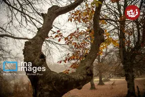 تصاویر| طرنگ، رازی‌ میان کوهستان و کویر؛ شگفتانه‌ خالق زیبایی‌ها در جنوب غربی کرمان