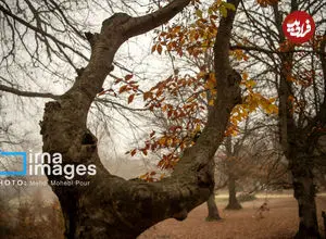 تصاویر| طرنگ، رازی‌ میان کوهستان و کویر؛ شگفتانه‌ خالق زیبایی‌ها در جنوب غربی کرمان