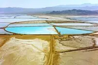 (عکس) گنج ۵۴۰ میلیارد دلاری از یک جای عجیب سر درآورد!