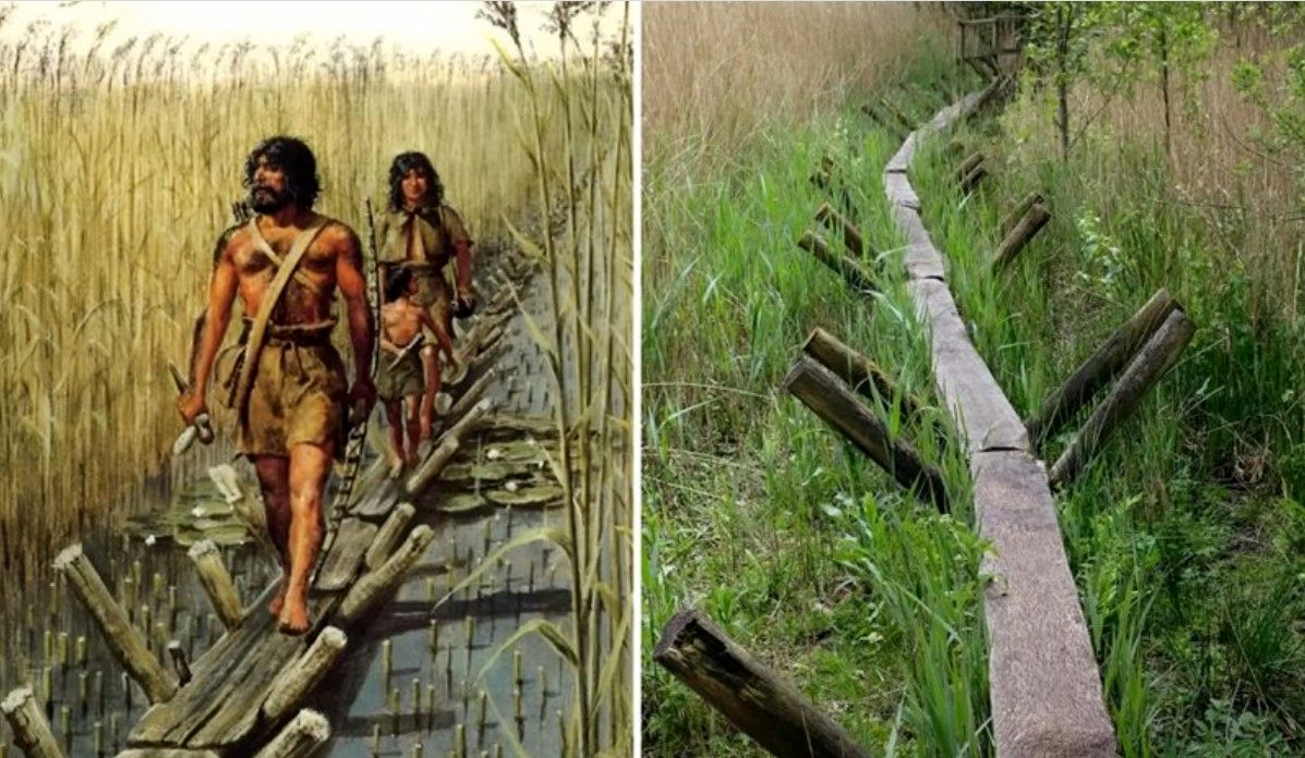 (تصویر) گذرگاهِ چوبی 6000 ساله؛ نمایشی از نبوغ انسان‌های ماقبل‌ تاریخ