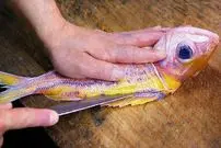 ببینید| غذای خیابانی در ژاپن؛ تهیه دو نوع غذا با ماهی سرخو در اوکیناوا