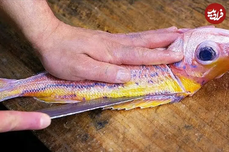 ببینید| غذای خیابانی در ژاپن؛ تهیه دو نوع غذا با ماهی سرخو در اوکیناوا