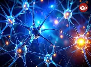 کشف یک زبان پنهان در مغز