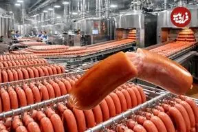 ببینید| سوسیس چگونه در کارخانه های برزیل تولید می شود؟